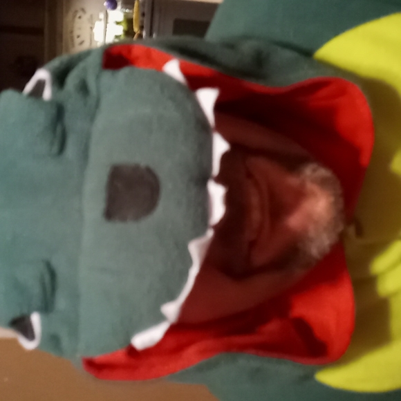 Tyrannosaurus Rex pajamas or Halloween costume - Picture 12 of 17